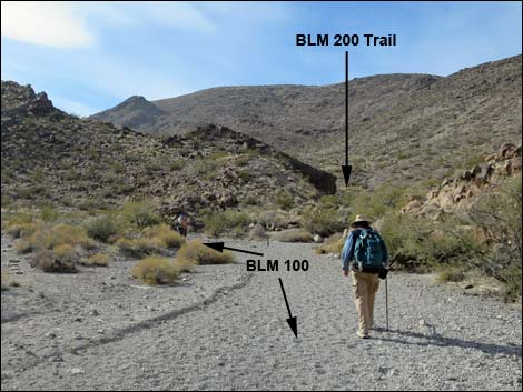 BLM 100 Trail