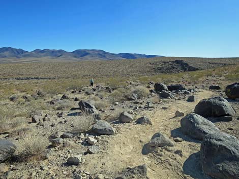 Petroglyph Canyon Trail