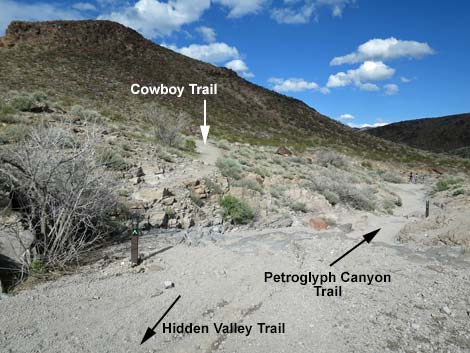 Petroglyph Trail