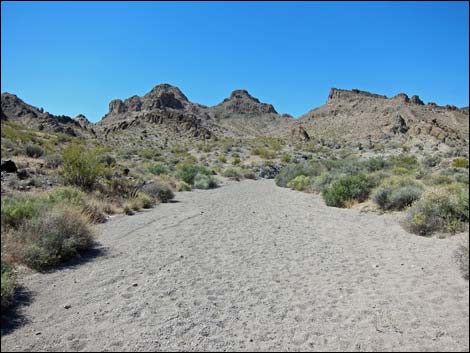 Hidden Valley Trail