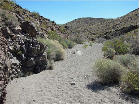 Hidden Valley Trail