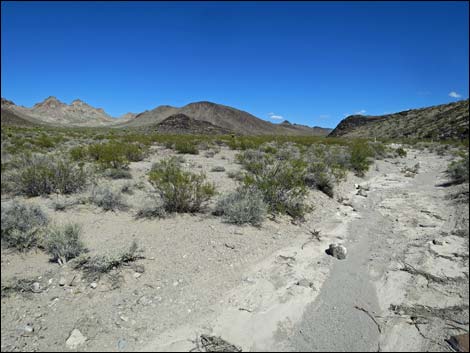 Hidden Valley Trail