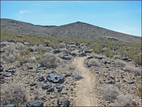 BLM 402 Connector Trail