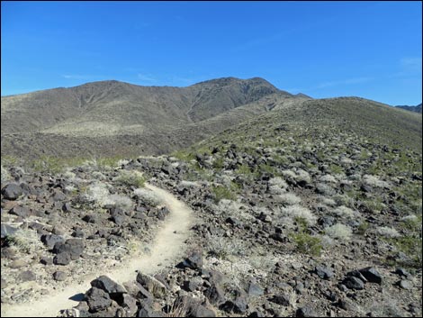 BLM 404 Trail