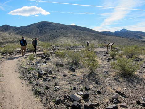 McCullough Hills Trail