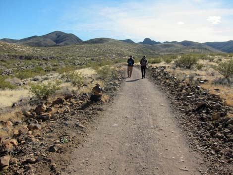 McCullough Hills Trail