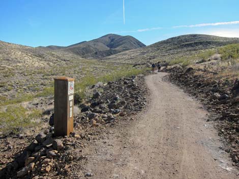 McCullough Hills Trail