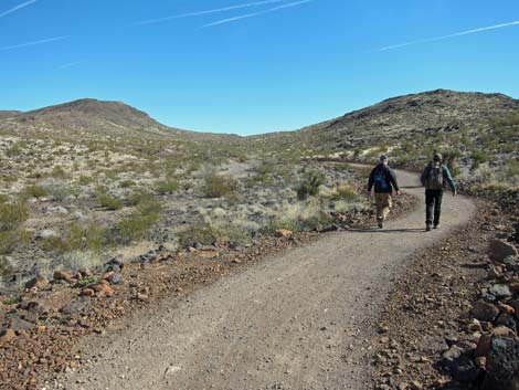 McCullough Hills Trail