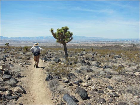 Park Peak Trail