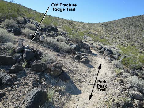 Fracture Ridge