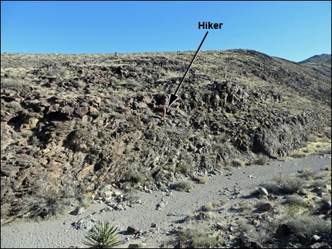 Sloan Canyon Petroglyphs