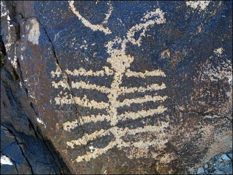 Sloan Canyon Petroglyphs