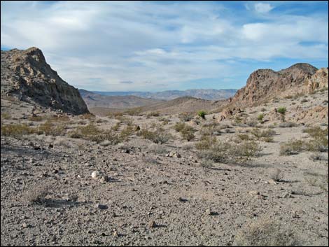 Sloan Canyon National Conservation Area