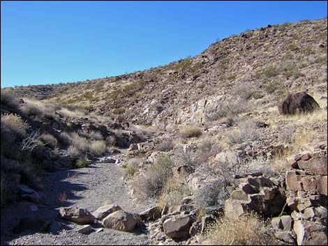 Sloan Canyon Loop