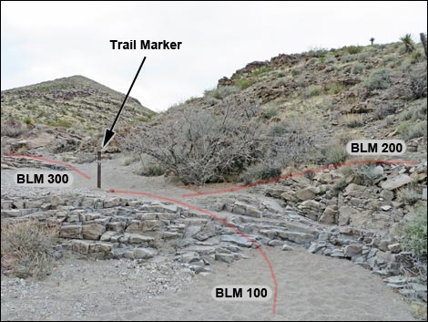 Sloan Canyon Loop