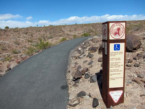 McCullough Hills Trail