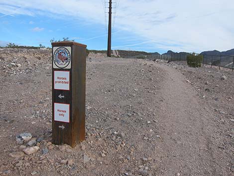 McCullough Hills Trail