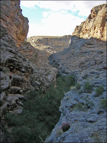 Inside the narrows (view northwest).