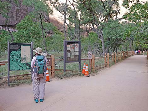 Riverside Walk Trail