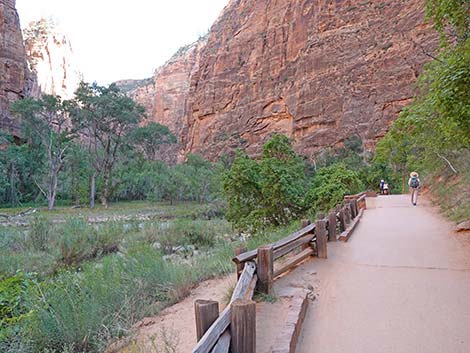 Riverside Walk Trail