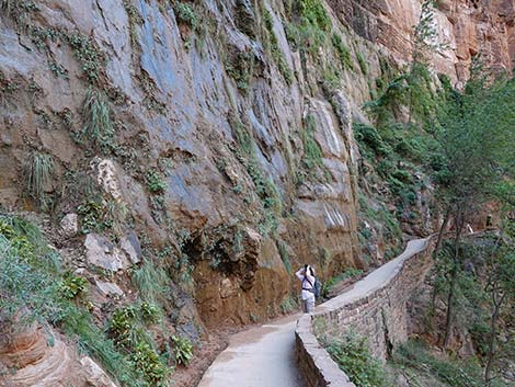 zion canyon