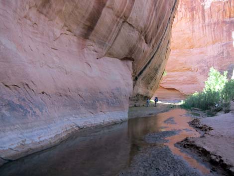 Coyote Gulch