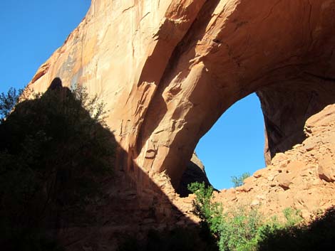 Coyote Gulch