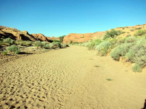 Coyote Gulch