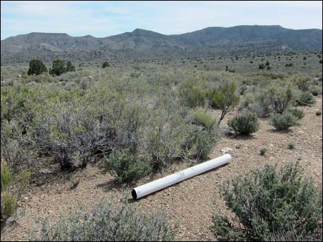 Illegal Mining Claim Markers