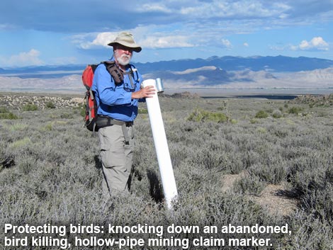 Illegal Mining Claim Markers