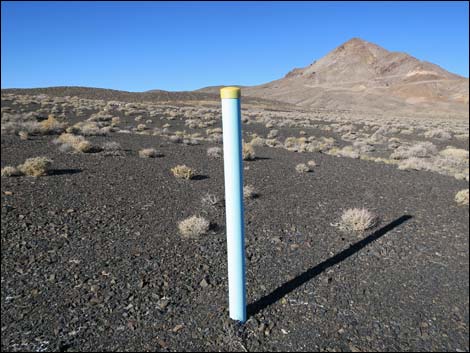 Illegal Mining Claim Markers