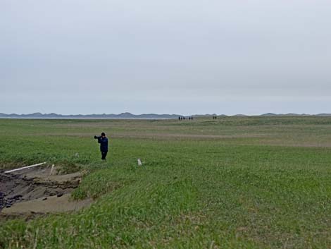 St. Paul, Pribilof Islands