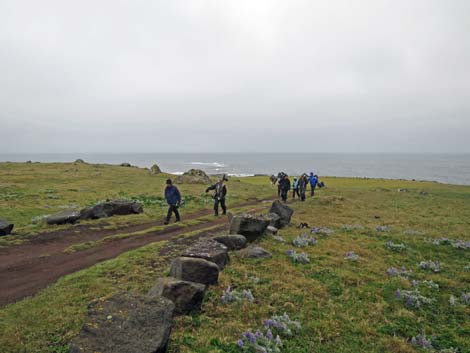 St. Paul, Pribilof Islands