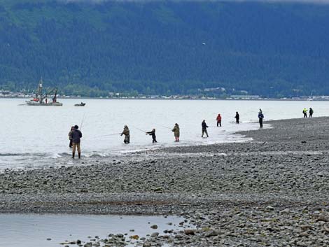 Seward birding
