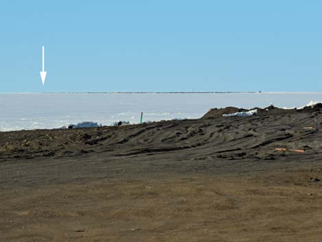 Barrow birding