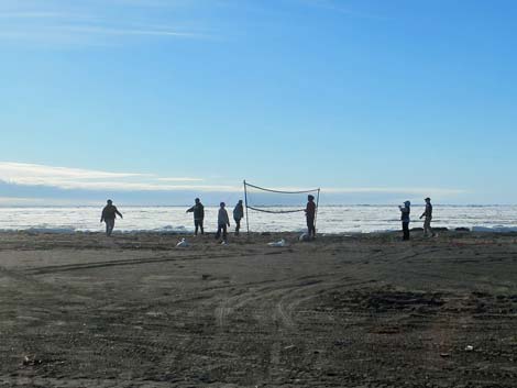 Barrow birding