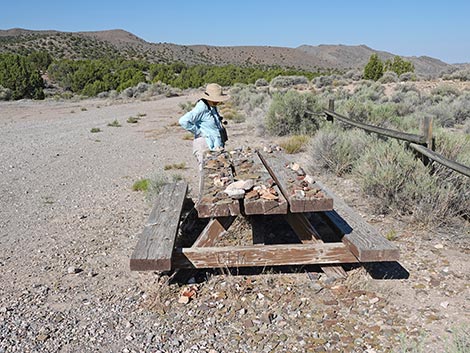 Oak Springs Trilobite Site