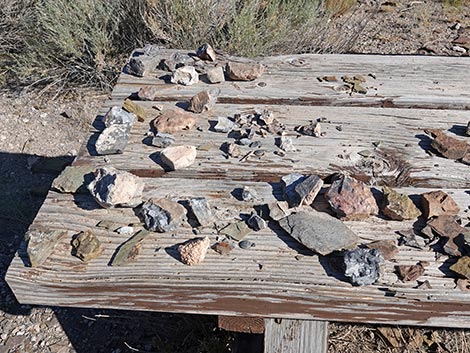 Oak Springs Trilobite Site