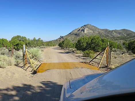 Oak Springs Trilobite Site