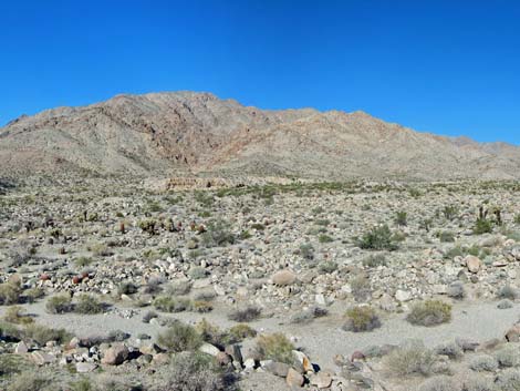 Ireteba Peaks Wilderness Area