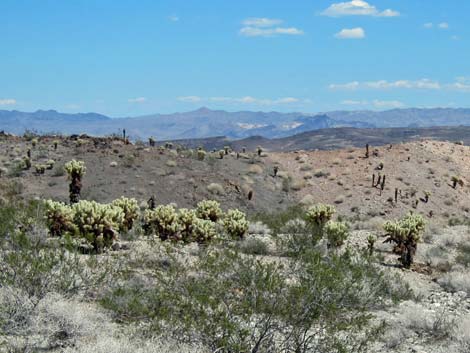 Ireteba Peaks Wilderness Area