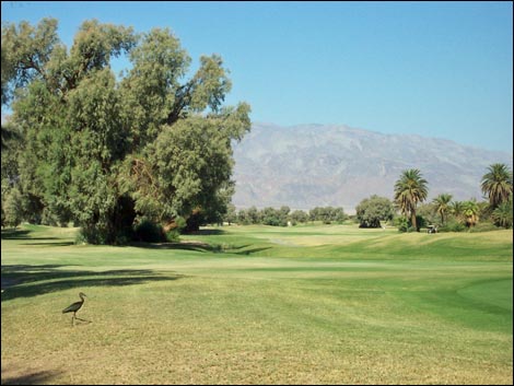 Furnace Creek