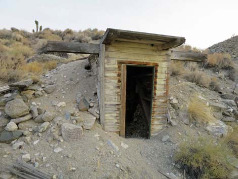 Desert Woodrat (Neotoma lepida) Nests