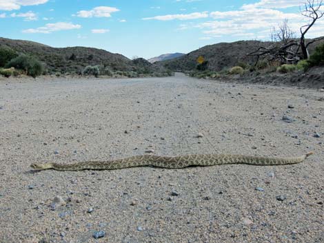 Black Canyon Road - Southbound