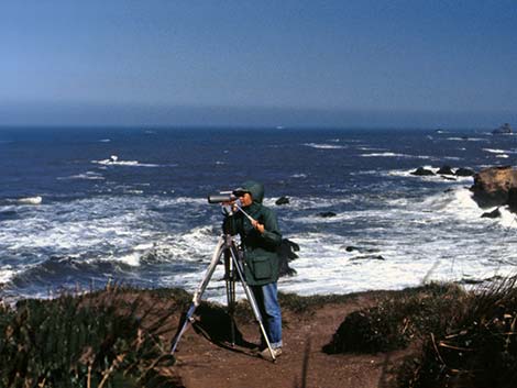 birding at elk head