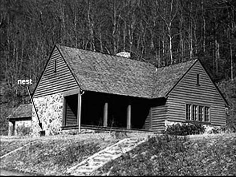 Coweeta bunkhouse circa 1948